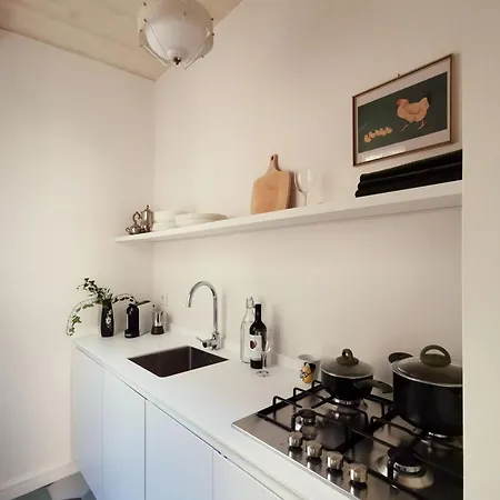 Coniger 4 In Centro *