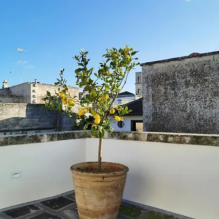 Coniger 4 In Centro 펜션