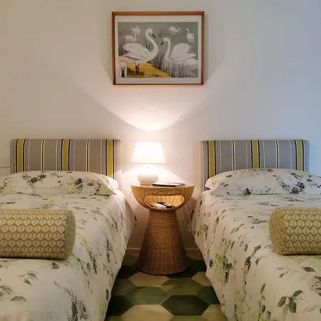 Coniger 4 In Centro *